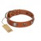 "Amorous Escapade" Embellished FDT Artisan Tan Leather Amstaff Collar with Chrome Plated Crossbones and Plates