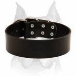Extra Wide Classic Style Leather Dog Collar for Amstaff