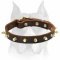 Top Quality Spiked Leather Amstaff Dog Collar