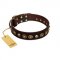 "Street Fashion" FDT Artisan Brown Leather Amstaff Collar Adorned with Circles and Skulls