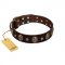 "Breaking the Horizon" FDT Artisan Brown Leather Amstaff Collar with Engraved Studs and Medallions
