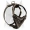 Painted Leather Attack/Agitation Harness for Amstaff - Barbed Wire