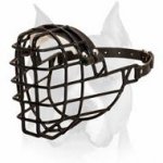 Amstaff Winter Wire Cage Muzzle with black rubber cover