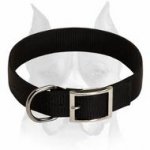 Belt Nylon Collar For Amstaff