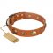 "Visual Magic" FDT Artisan Tan Leather Amstaff Collar for Daily Activities