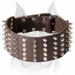 Amstaff Impressive Extra Wide Leather Dog Collar with Decorations