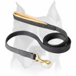 Amstaff Comfortable Leather Dog Leash with Padded Handle