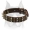 Sparkish Leather Dog Collar for Amstaff breed