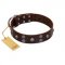 "Skull Valley" Handcrafted FDT Artisan Brown Leather Amstaff Collar with Skulls