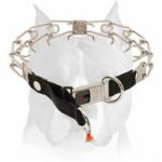 Amstaff Stainless Steel Pinch Dog Collar With Quick Lock System