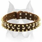 Gorgeous Amstaff Leather Dog Collar with 2 Rows of Brass Spikes and 1 row of Nickel Studs