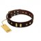 "Blinking Illusion" FDT Artisan Brown Leather Amstaff Collar with Old Bronze-like Studs and Plates