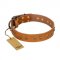 "Autumn Story" FDT Artisan Leather Amstaff Collar with Old Bronze Look Studs
