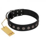 "Silent Star" Handmade FDT Artisan Designer Black Leather Amstaff Collar with Engraved Plates