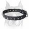 Amstaff Leather Dog Collar Decorated with 1 Row of Spikes