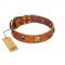 "Knights Templar" FDT Artisan Tan Leather Amstaff Collar with Skulls and Crossbones Combined with Squares