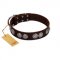 "High and Mighty" FDT Artisan Classy Brown Leather Amstaff Collar with Embellished Brooches