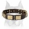 Gorgeous Leather Amstaff Dog Collar with Brass Plates and Nickel Spikes