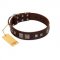 "Object of Virtu" FDT Artisan Brown Leather Amstaff Collar with Old Silver-like Square Studs and Pyramids