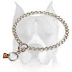 Herm Sprenger Choke Dog Collar for Amstaff