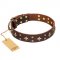 "High Fashion" FDT Artisan Embellished Brown Leather Amstaff Collar