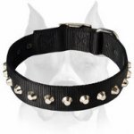 Stylish Design Wide Nylon Amstaff Dog Collar