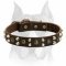 Outstanding Leather Dog Collar with Pyramids and Studs for Amstaff