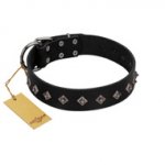 "Immense Power" Handcrafted FDT Artisan Black Leather Amstaff Collar with Small Dotted Pyramids