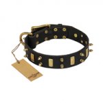 "Medieval Style" FDT Artisan Leather Amstaff Collar with Brass Plated Plates and Spikes