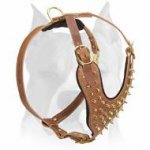 Leather Dog Harness with Brass-Plated Spikes for Amstaffs