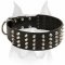 Extra wide Leather Dog Collar with 4 Rows of Pyramids for Amstaff