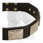 War Dog Leather Collar with awesome hand-set plates for Amstaff