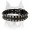 Amstaff Leather Dog Collar with Stylish Decorations