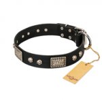 "Pirates Gold" FDT Artisan Black Leather Amstaff Collar with Old Silver Look Plates and Skulls