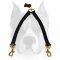 Amstaff Stitched Leather Dog Coupler Leash for 2 Dogs