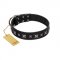 "Polar Lights" Designer FDT Artisan Black Leather Amstaff Collar with Silver-Like Studs