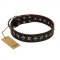 "Stars of Glory" FDT Artisan Brown Leather Amstaff Collar for Comfortable Walking