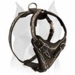 Painted Leather Attack/Agitation Harness for Amstaff - Barbed Wire