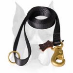 Amstaff Walking Nylon Dog Leash with Handle