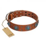 "Blue Sands" FDT Artisan Tan Leather Amstaff Collar with Silver-like Studs and Round Conchos with Stones