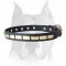 Leather Special Dog Collar With Brass Plates for Amstaff breed