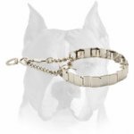 Stainless Neck Tech Dog Prong Collar for Amstaff