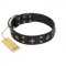 "Star Excitement" Modern FDT Artisan Black Leather Amstaff Collar with Studs and Stars