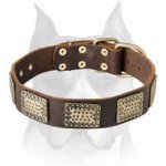 New Design Leather Dog Collar with Brass Plates for Amstaff Breed