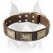 New Design Leather Dog Collar with Brass Plates for Amstaff Breed