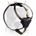 Small Leather Dog Harness for Amstaff puppy