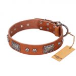 "Sparkling Skull" FDT Artisan Tan Leather Amstaff Collar with Old Silver Look Plates and Skulls
