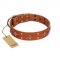 "Tawny Beauty" FDT Artisan Tan Leather Amstaff Collar Adorned with Stars and Tiny Squares