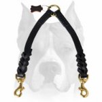 Amstaff Braided Leather Coupler Leash for 2 Dogs