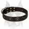 'Spring mood' Leather Amstaff Collar for Joyful Walking